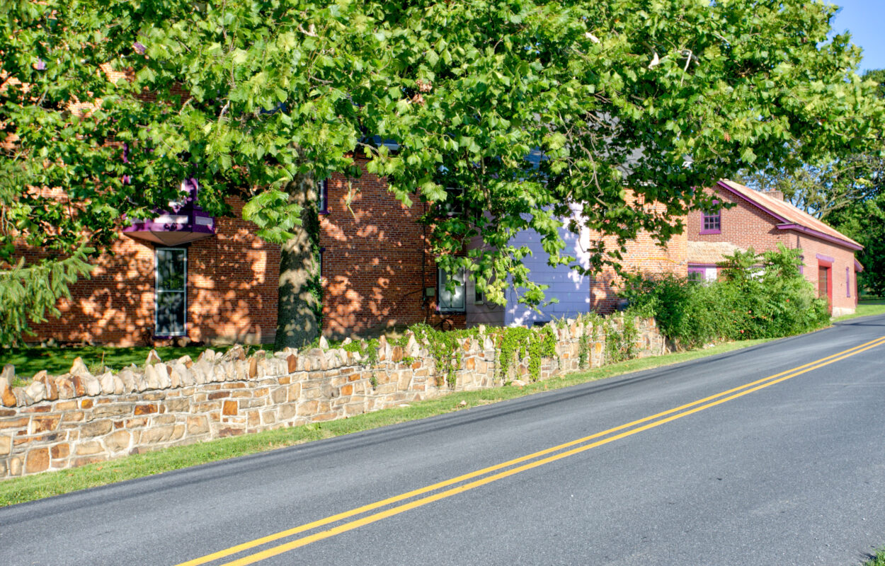 GoPatton Road & Trees